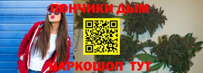 крисы Абакан