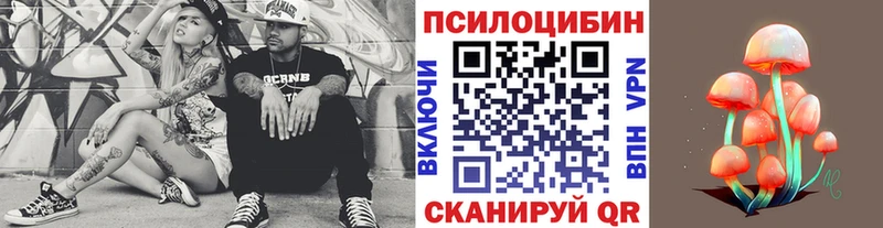 дарк нет наркотические препараты  закладки  Камышин  Псилоцибиновые грибы мицелий 