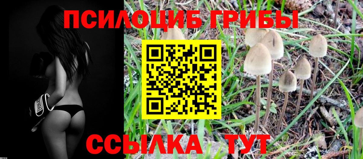 Псилоцибиновые грибы ЛСД Камышин