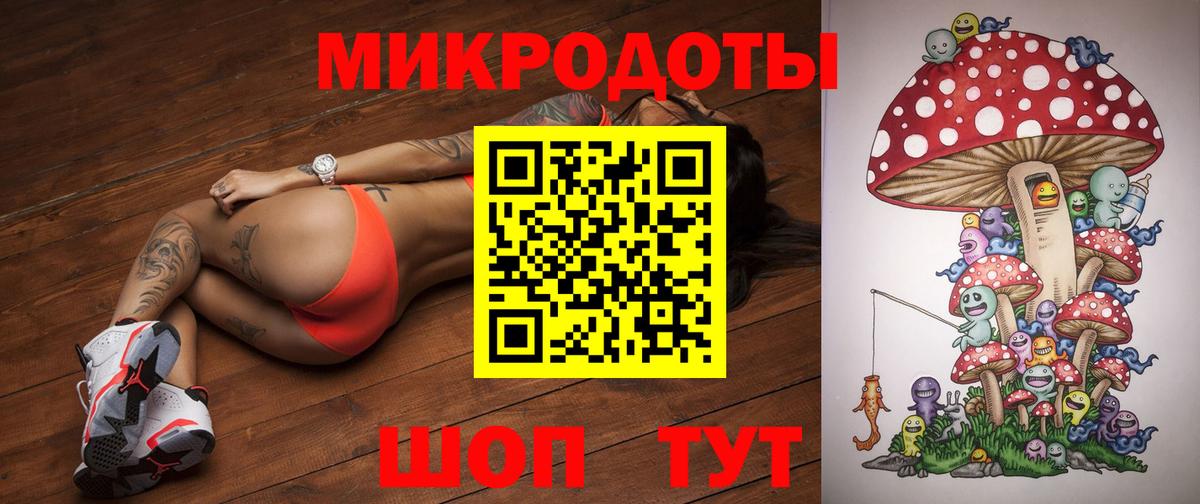Псилоцибиновые грибы Psilocybine cubensis  Вход с VPN  Камышин 
