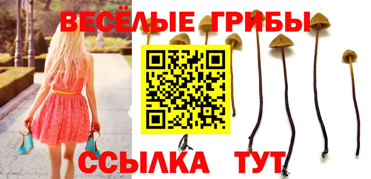 Галлюциногенные грибы мухоморы  Камышин  Галлюциногенные грибы прущие грибы 