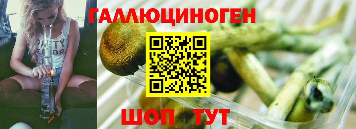 Гашиш  А ПВП СОЛЬ кристаллы  Камышин  Вход с VPN  Канабис  ЭКСТАЗИ  КОКАИН  Меф МЯУ МЯУ кристаллы 