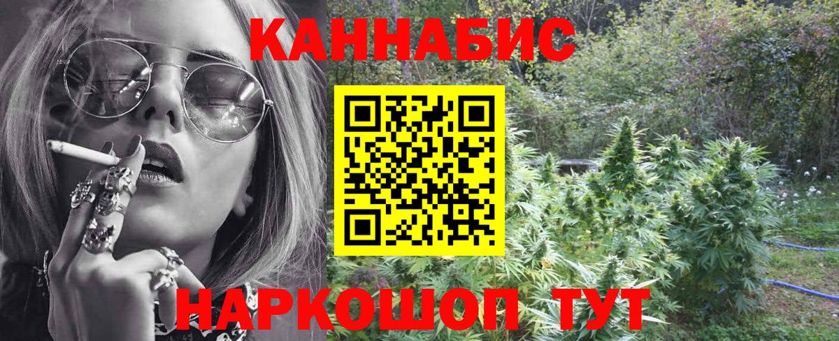 Бошки марихуана семена  МАРИХУАНА ГИДРОПОН  Камышин  Шишки марихуана марихуана  Вход с VPN 